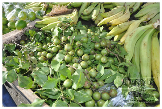 st_lucia_jouvert_july18-071