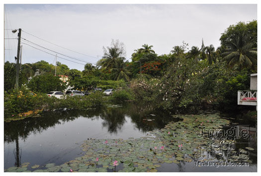 stlucia_booze_cruise_july17-005