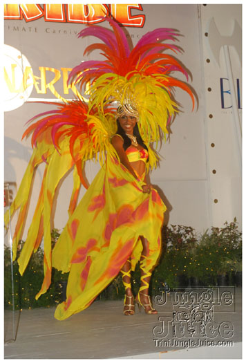 tribe_2011_launch_july24_pt1-067