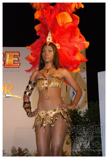 tribe_2011_launch_july24_pt1-079