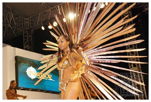 tribe_2011_launch_july24_pt2-036