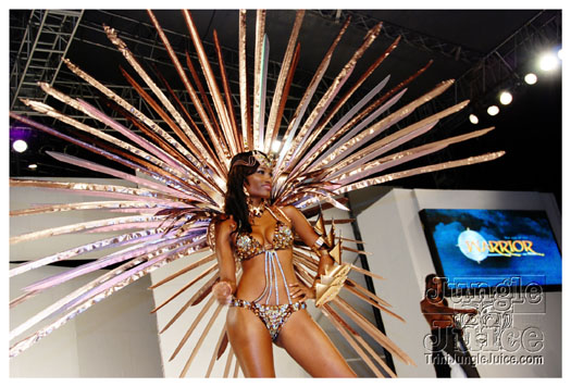 tribe_2011_launch_july24_pt2-037