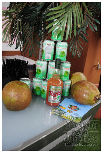 tribe_uk_ignite_2010-002