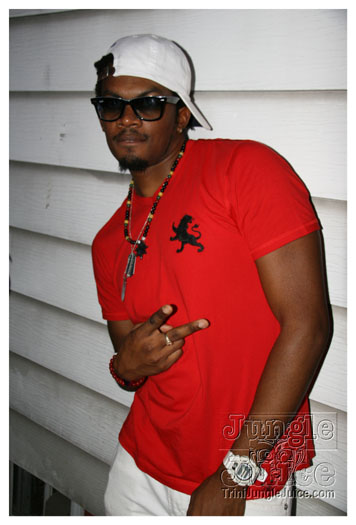 under_the_trees_2010_july4-070