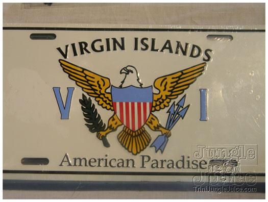 vi_festival_oct9-032