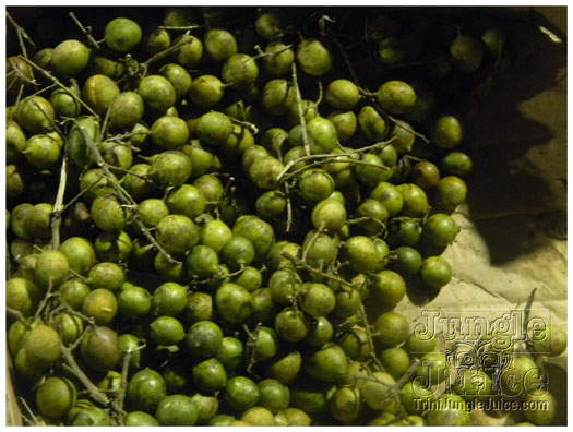 vi_festival_oct9-033