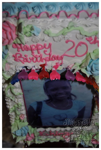 voices_of_haiti_jan20-009