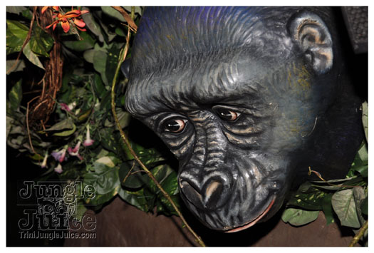 wild_in_the_jungle_jul31-002