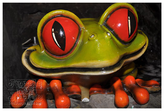 wild_in_the_jungle_jul31-010