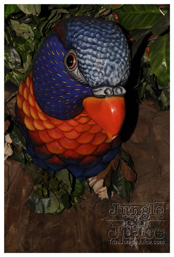 wild_in_the_jungle_jul31-011