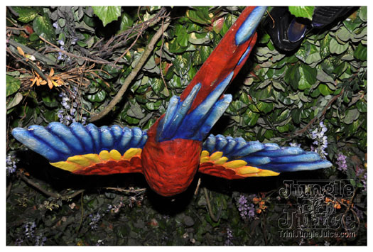 wild_in_the_jungle_jul31-027