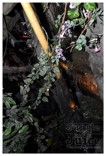 wild_in_the_jungle_jul31-036