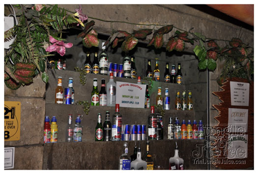 wild_in_the_jungle_jul31-095