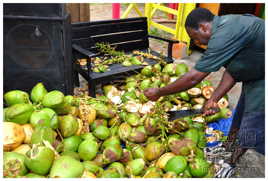 booze_cruise_mv_2011_pt1-011