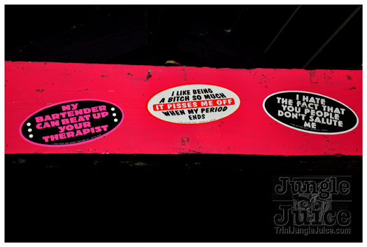 booze_cruise_mv_2011_pt1-025