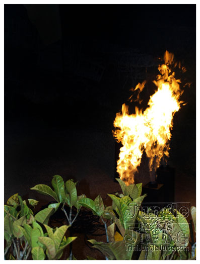 cest_la_vie_barbados_may28-024