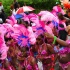 kadooment_day_2011_pt1-022