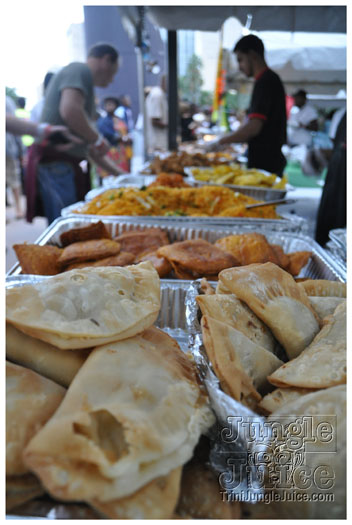 buju_banton_live_jan16-011