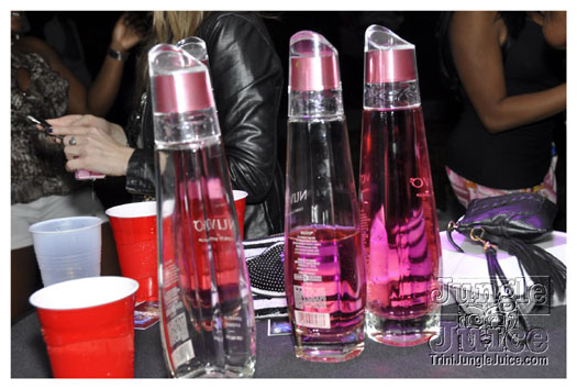 treasure_cove_jan16-009