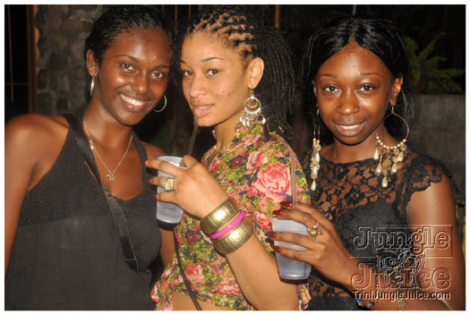 bananas_cooler_fete_2011-010