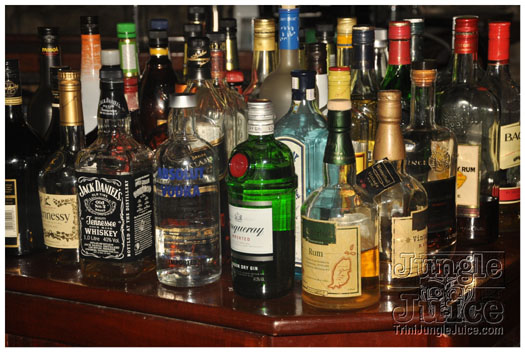 bananas_cooler_fete_2011-036