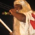grenada_soca_monarch_2011-025