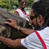 grenada_strongest_man_2011-004