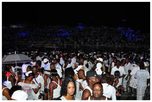 midnight_in_the_moonlight_2011-004