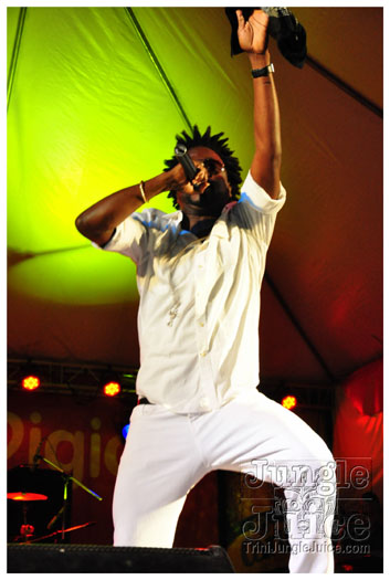 midnight_in_the_moonlight_2011-089