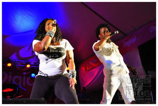 midnight_in_the_moonlight_2011-092