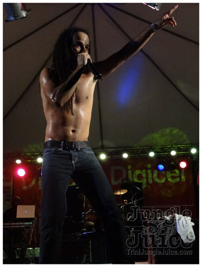 midnight_in_the_moonlight_2011-159