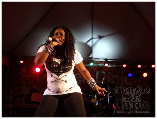 midnight_in_the_moonlight_2011-164