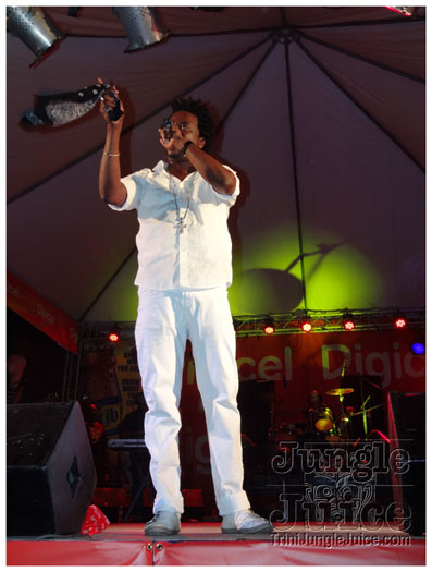 midnight_in_the_moonlight_2011-171