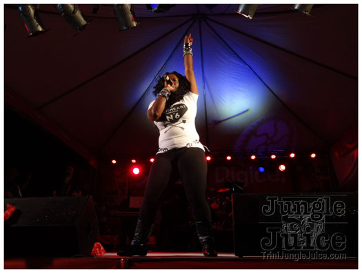 midnight_in_the_moonlight_2011-172