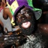 spicemas_jouvert_2011_pt1-066