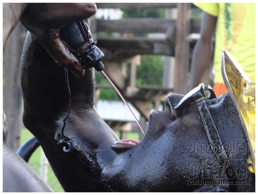 spicemas_jouvert_2011_pt2-124