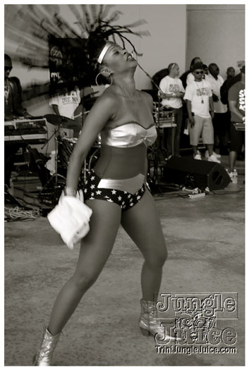 houston_parade_jul3_2011_pt2-059