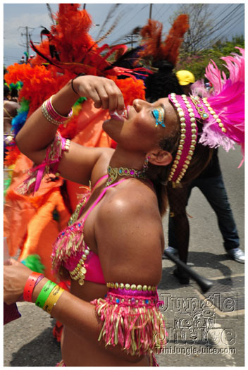 bacchanal_ja_roadmarch_2011_pt1-013