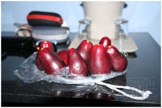 bacchanal_ja_extras_2011-001