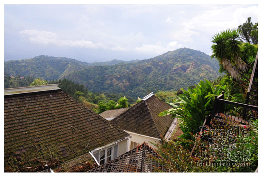 bacchanal_ja_extras_2011-017