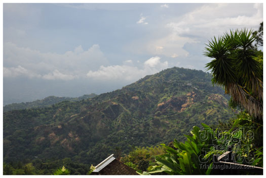 bacchanal_ja_extras_2011-018