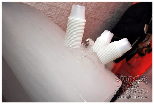 be_fresh_ice_party_apr2-116