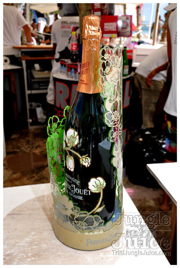 bliss_summer_tour_2011_part1-031