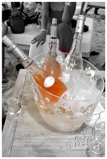 bliss_summer_tour_2011_part1-037