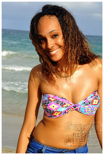 jet_attitud_jun11-005