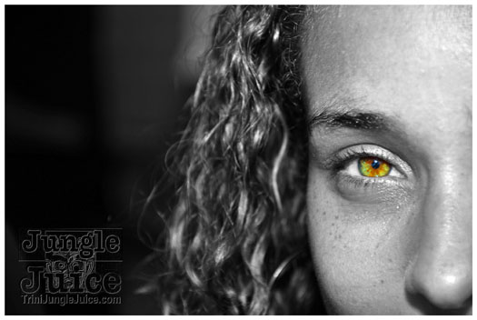 jet_attitud_jun11-008