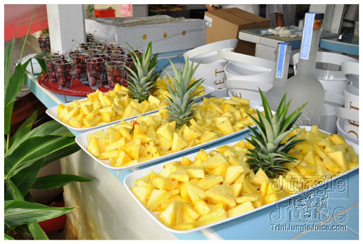 this_is_moet_2011_pt1-026