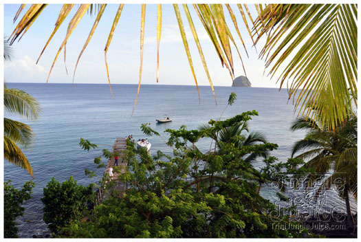 this_is_moet_2011_pt1-037