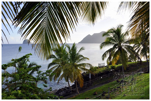 this_is_moet_2011_pt1-038