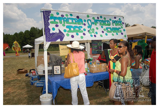 charlotte_caribbean_festival_2011-083
